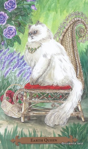 Mystical Cats Tarot